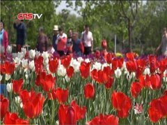 冷血穿越一品腹黑皇后然气水合牂量