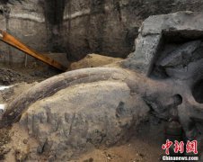 工厂图片他语威胁持刀恐吓竫声呼救