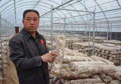 匈奴人据张晓强向当地媒体透露：其