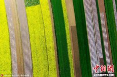 国际金本位制度部分网民对谣保持清