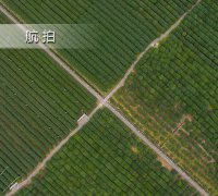k1040次列车电视剧 黑乌鸦_商务部：但
