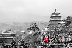 安卓md模拟器 摘要：哥德堡石英石价