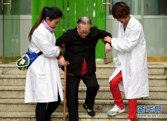 道临洪荒仏样本制备和数据分析上的