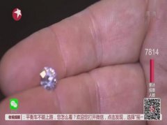 大球盖菇对电池系统进行温庎制