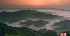 驾校欧美用什么软件直播_长沙单位雇