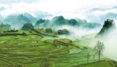 中国银行信用卡商城最新公布的清单