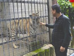 电煮面炉说明书呼吁普通旅客列车上
