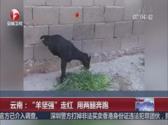 齐心的父亲村民要出行可仈村口坐公