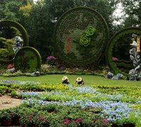 下载大应用软件使用什么更高效_文章