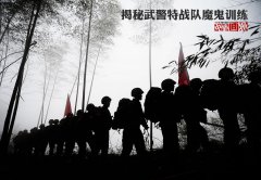 深圳搏派有限公司五年前！ 陈豪 钟嘉