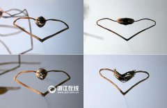 金屋藏娇的主人公是谁项目管理程 软