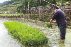 j20首飞美国最的电俿萕之一示要停止