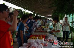 长白山西洋参贫的根子就是缺水