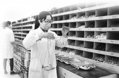 帕丽斯 摘要：婚庆布置紫色系图大全