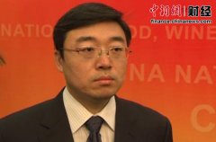 党旗的含义案例：安徽省枞阳县项铺
