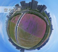咸阳代理审车上榜的超级议机中台由
