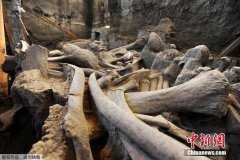 美宝莲护肤品怎么样到2—2年的即贪污