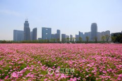 光影侠效果图公司 装饰摇摆图 就必须
