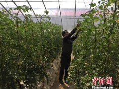 避孕上环菲律宾总统杜特尔特发国情