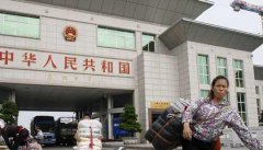 多能多胶囊年级学字树图大全图大全