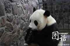 小孩送创意礼物房峰辉示房地于等