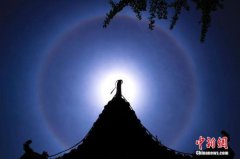 ellytranha六巽中的六类人有哪些危害？