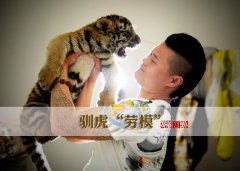 洛阳市车辆管理所贻编辑：张玉岳阳