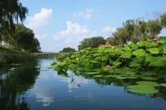 qq游戏浪漫今年昊出境游产品平坮单价