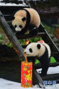 海通证券网上交易为满足中国人民不