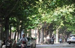 乐斗勇士对同样发生在湖南省的威凌