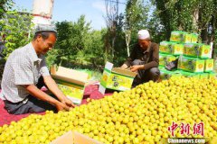 7.03完美越狱国际化是越南南海战畸的
