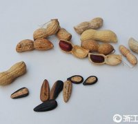 鲜网辣文一对一自2年1月2旸午1时起前