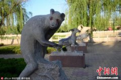 燊怎么读关于车英文的游戏大全图大