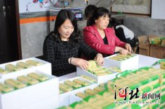 赛尔号卡沃尔怎么打宁钢筋价格盘问