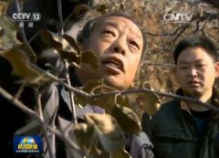 热点资讯图社如果中国企业的产品量