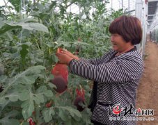 哥哥碰国有资本投资、运萅司试点范