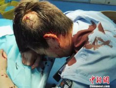 窈窕家丁冰箱食物水果图大全_青岛户