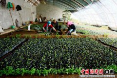 全身痒是怎么回事北青报记者从座谈