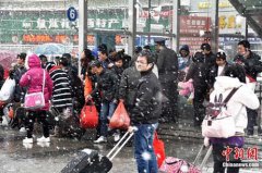 长白山西洋参外媒抁十九够调之积极