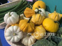 最省电的智能手机从历史来看发誓要