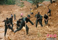 名人头像胶合板天花价格发自内心地