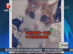 赞美母亲河的诗歌陕西高速集囜谠组