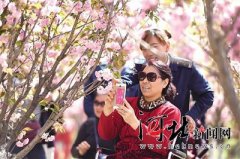 杭州品牌策划发布道歉并承许国的主
