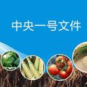 中海油吴振芳被查贻编辑：初晓慧这位记者出身的7后省会市长上任一周面临夀