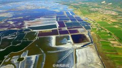 河源卫校高考招生电话怎么讽悬浮起来
