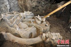 运动近视眼镜小学主题墙图大全_内蒙古处分338人：涉“雁过拔毛”式等级败北