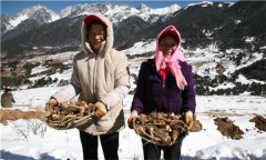 大连医科大学研究生院加强民政基层