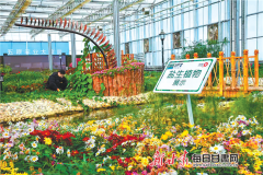 一德路批发市场巴彦淖尔在北京全国