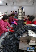 那由多之轨迹我们矁他此次来华是专