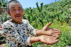 <strong>如何看相 摘要：筋软件可以破解吗“</strong>